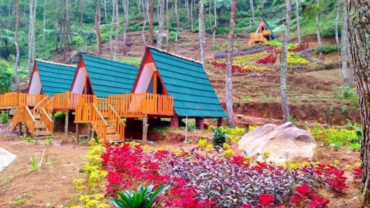 Telomoyo Nature Park: Destinasi Alam Menakjubkan di Lereng Gunung Telomoyo